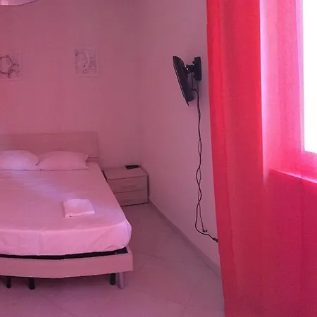 Academy House Pisa